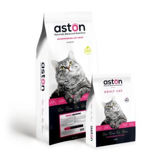 Aston Adult Cat